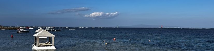 photo by Hiroyuki T.